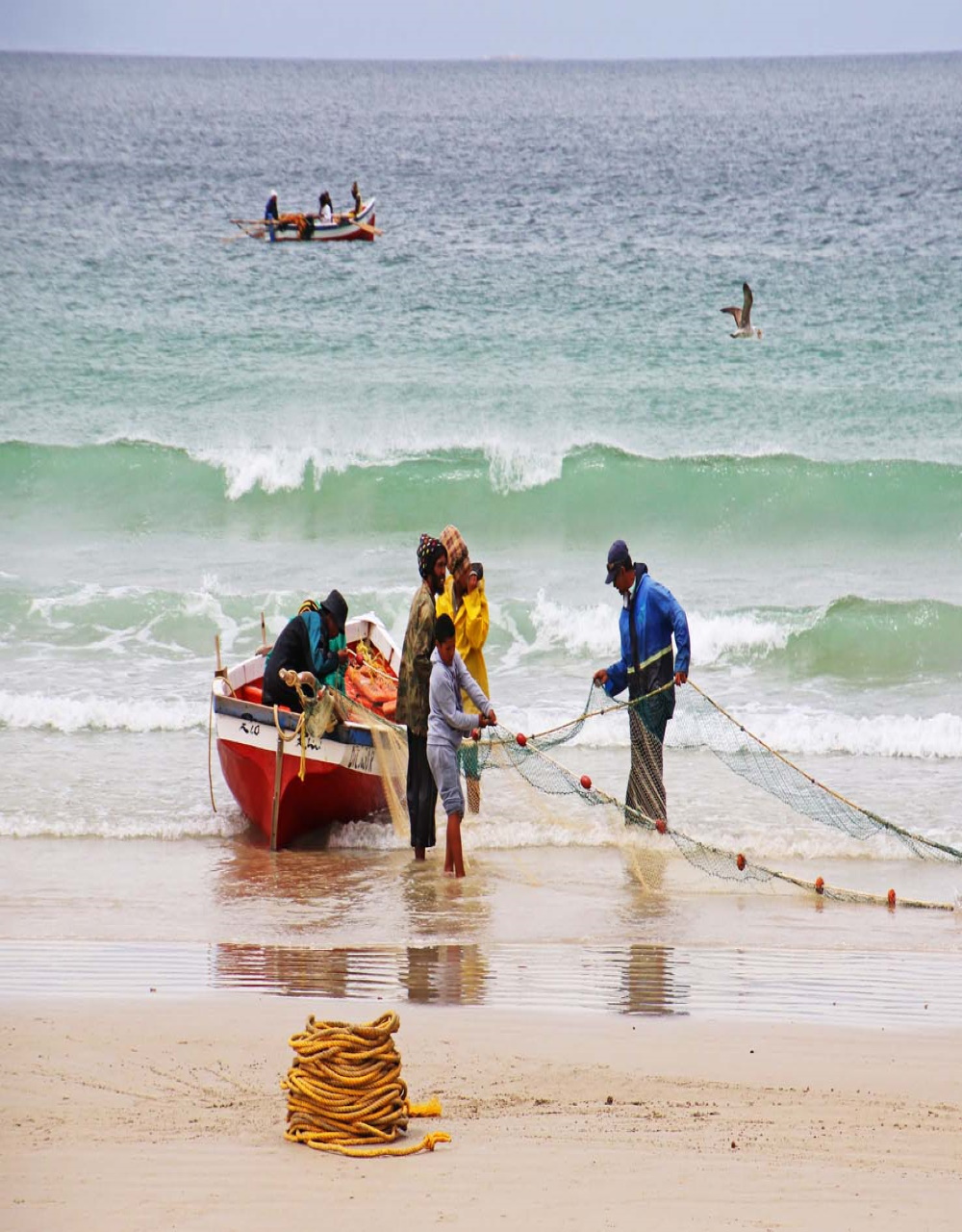 Fish Hoek beach pulling in the net